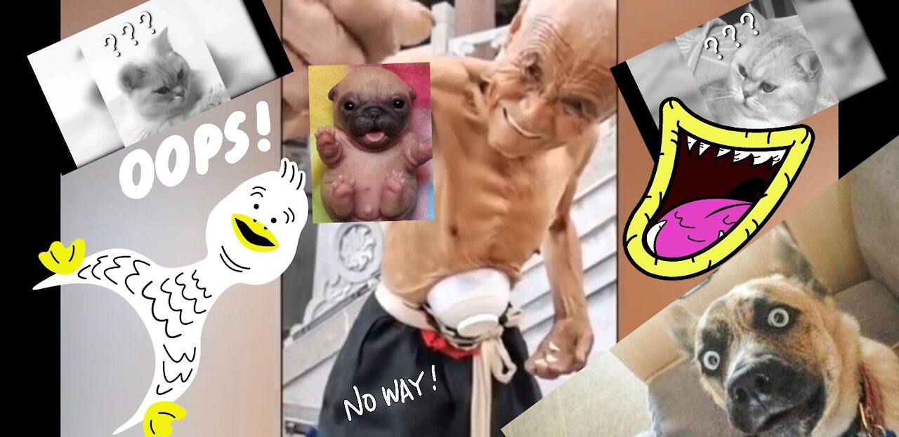 Most Amazing Videos from around the world and most electrifying videos