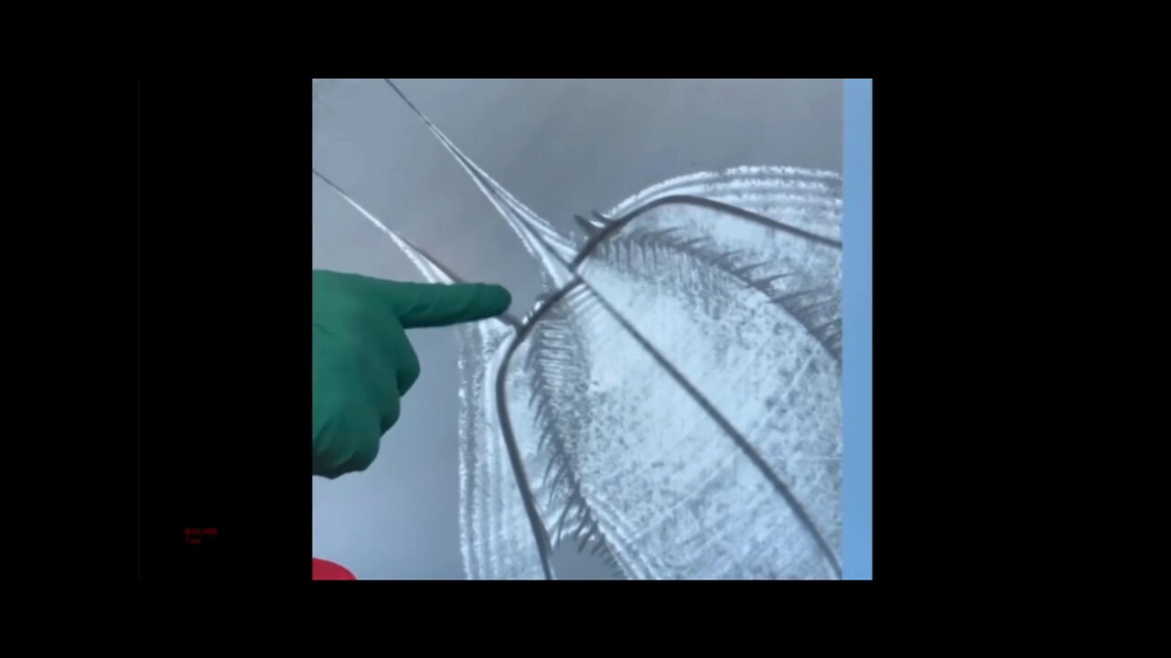 Researchers Examines Pfizer Vaccine and Discovers Spectacular Behaviour From Artificial Entities