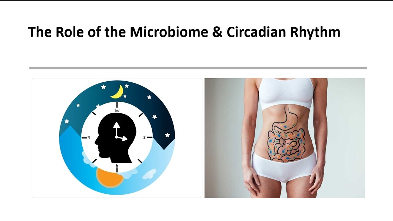 Weight Management 6 - Microbiome & Circadian Rhythm
