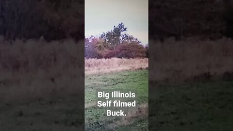 Big Illinois buck down! Self filmed brassica food plot on Illinois hunting land