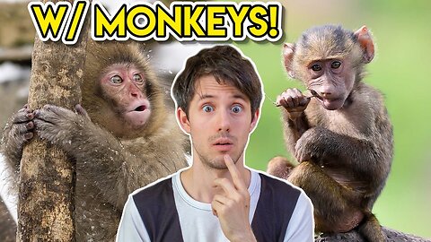 monkey dance