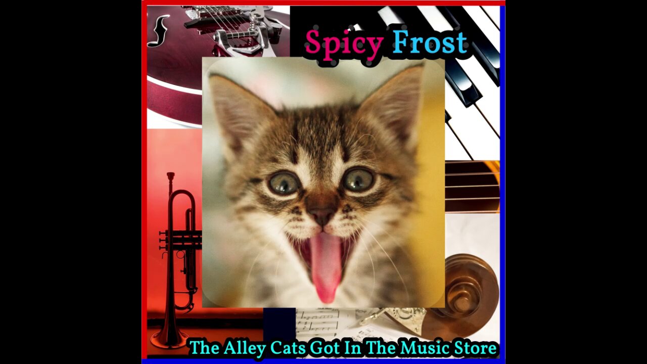 Song: The Alley Cats Got In The Music Store by Spicy Frost