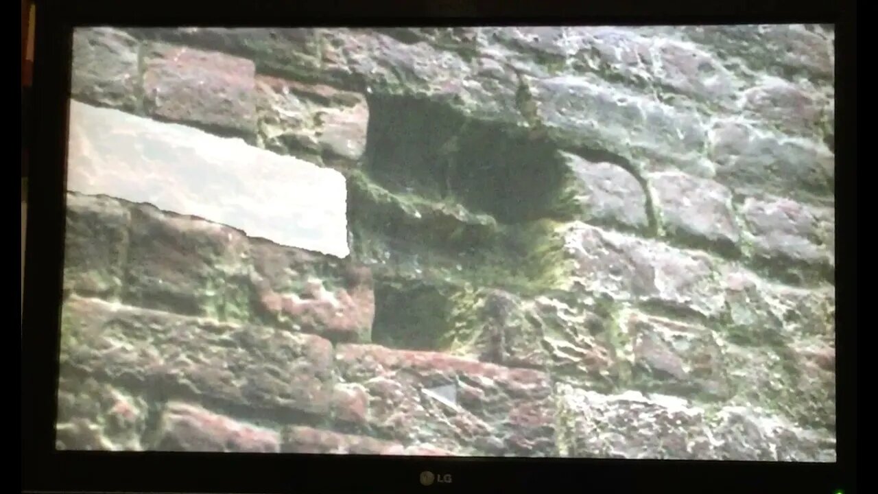 HP1 Disc 2 Brick Wall (One Correct, Row 2, Brick 1)