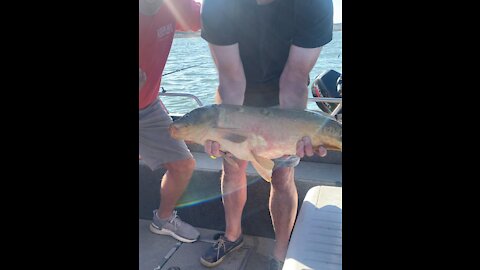 Unexpected Monsters From The Not So Deep - Rough Water Fishing - Surprise Bald Eagle Encounter