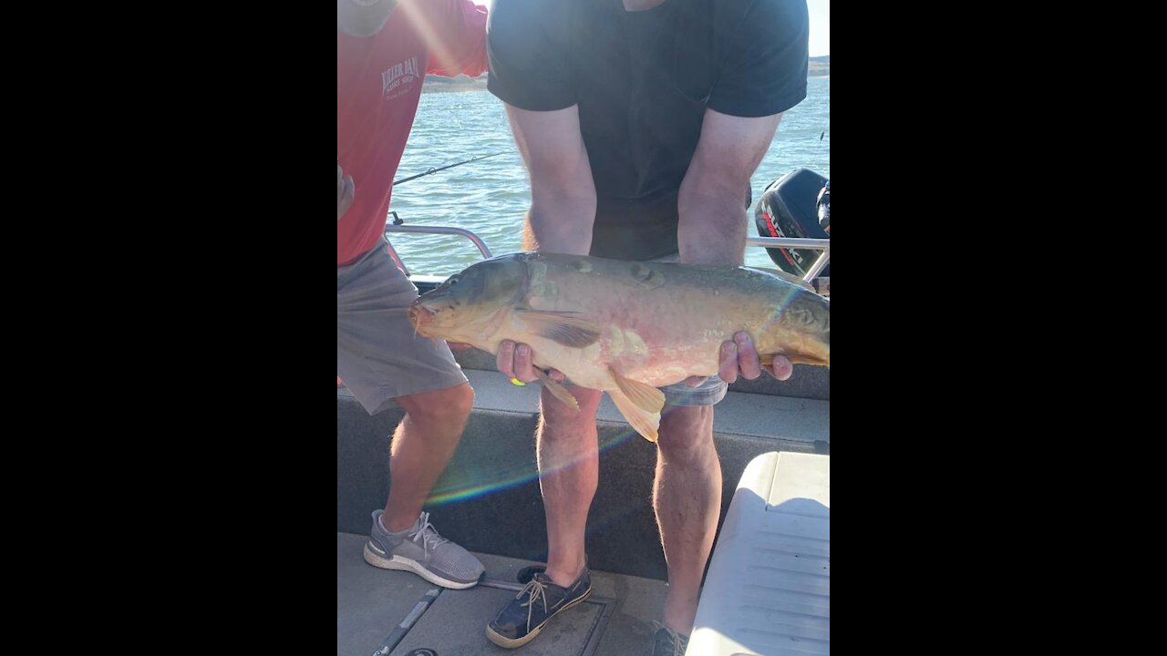 Unexpected Monsters From The Not So Deep - Rough Water Fishing - Surprise Bald Eagle Encounter