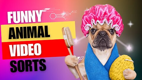 Funny animal video |funny video| So Funny 🤣 What’s happening?😂😂😂 Please Follow Me