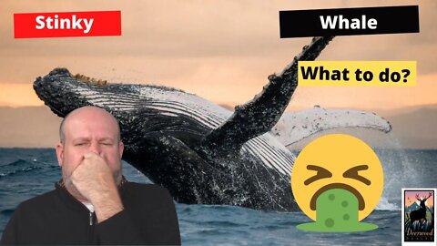 The HOA and the Stinky Whale ... 106