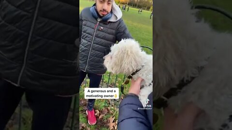 Dog owner helping a young man who has a phobia of dogs!