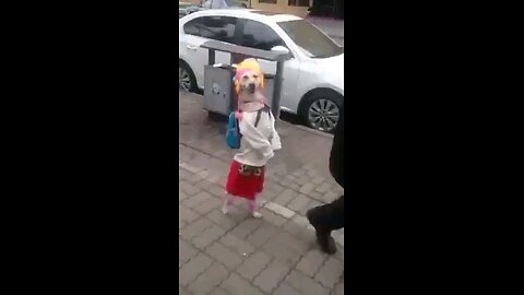 very funny video
