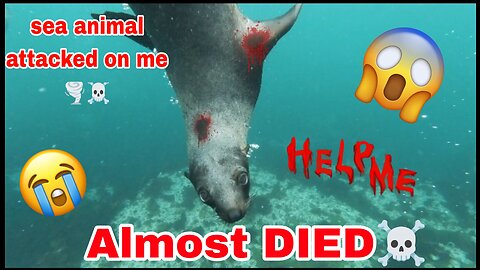 Sea animals... attack ⚠️⚠️⚠️⚠️