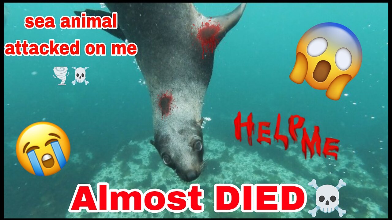 Sea animals... attack ⚠️⚠️⚠️⚠️