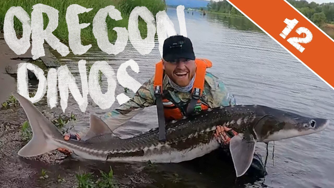 FISHING FOR DINOSAURS - Catching 7-Foot Oregon White Sturgeons from a Kayak