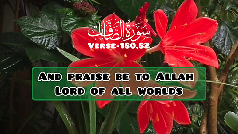 Surah As Saffat,Verse-180,82💕