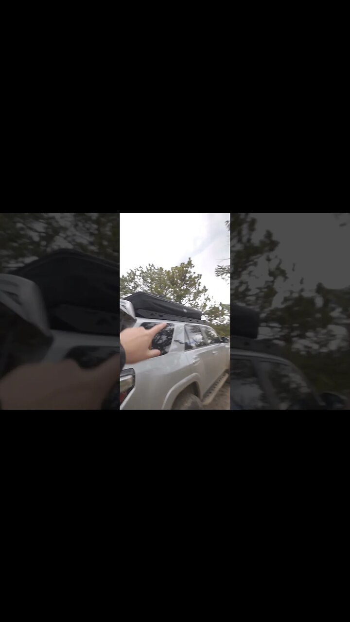 Are these are just Grown up toys?