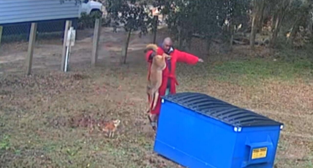 Man Grabs Coyotes Tail to Save Beloved Dogs Life