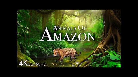 Animals of Amazon 4K - Wildlife in Amazon Jungle | Rainforest Sounds | Scenic Relaxation Film