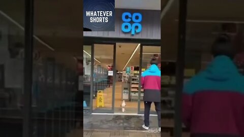 Bird commits some shoplifting #shorts #crime #animals #bird