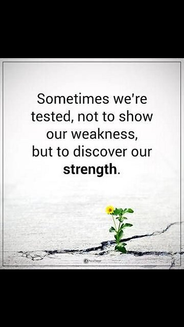 Good night fam. A gift for a Kamchatka bear 😂😂😂