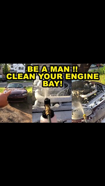 BE A MAN !!! CLEAN YOUR ENGINE BAY !!!