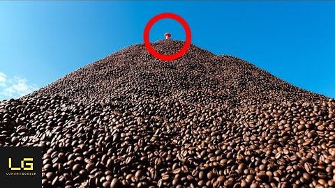 They Dumped 1 Million Pounds of Coffee. What Grew There Made Them Rich