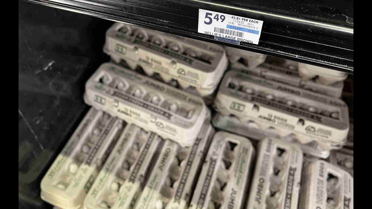 Smuggling of Eggs Across Border Skyrockets Amid Rising Prices