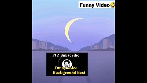 funny videos