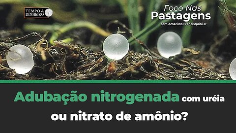 Adubação nitrogenada com uréia ou nitrato de amônio? Resposta em Foco nas Pastagens