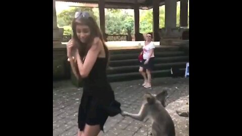 Bad monkey😂😂😂