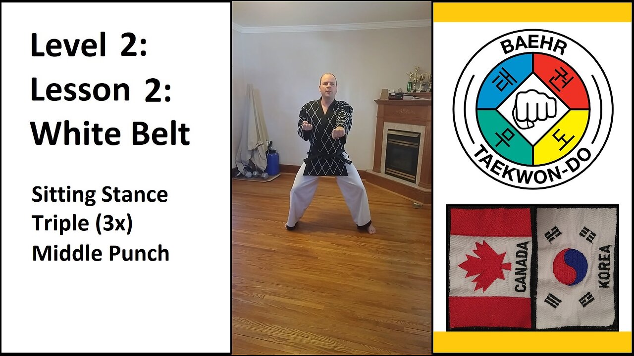 Baehr Taekwondo: 02-02: Yellow Stripe: Sitting Stance - Triple Middle Punch (punch 3x)