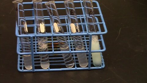 amino acids and proteins - CHM1032L