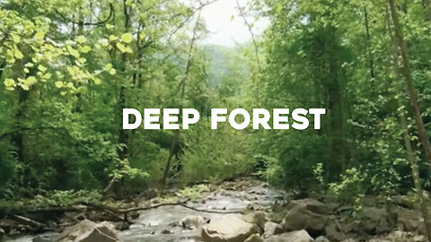 Relaxing Music - Deep Forest - Enjoy the Moment