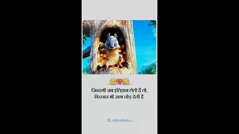 hard € video,&# please likes
