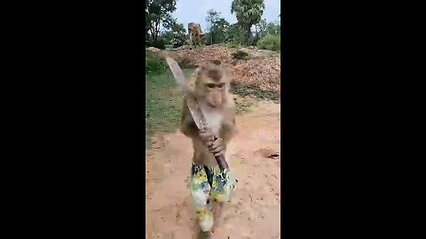 Good_job_Best_SokYaa,OG,_Pao_Mom_Ar e_Famous_Around_The_World_#shorts..