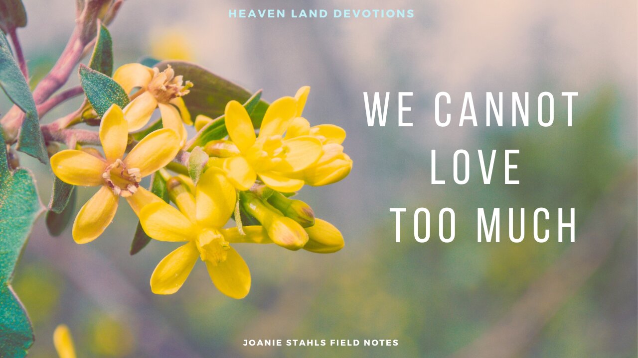 Heaven Land Devotions - We Cannot Love Too Much