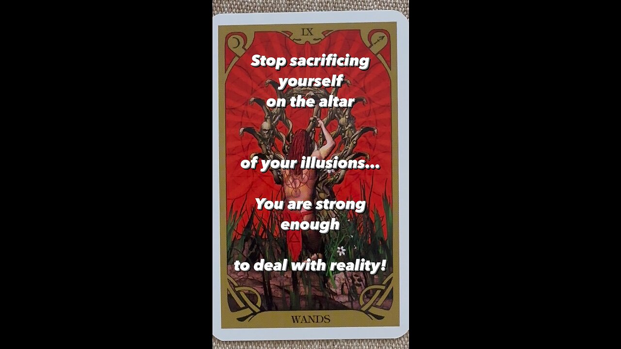 MEDITATION #tarot #tarotary #nightsuntarot #oracle #dailycard #allsigns #timeless #getup #trust