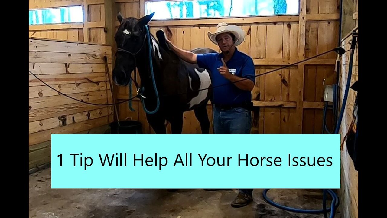 1 tip That will help every issue you have with your horse