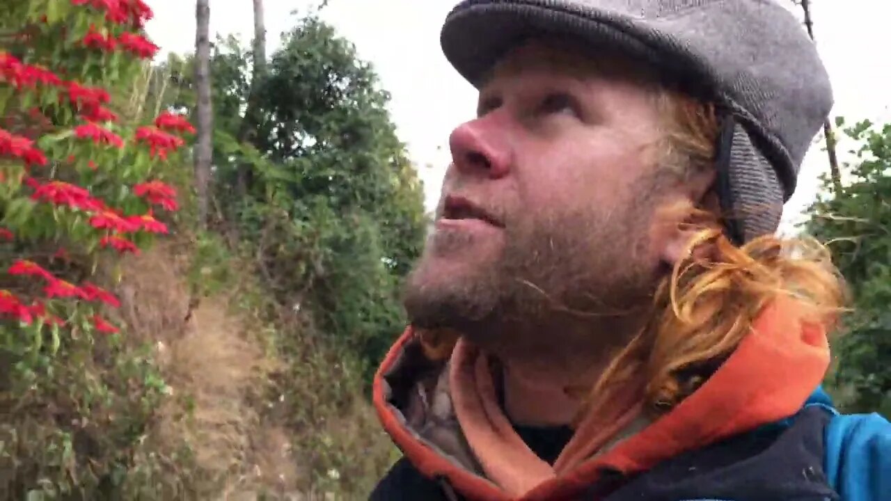 Traveling through Uttarakhand, India visiting some famous sites along the Himalayan mountains.