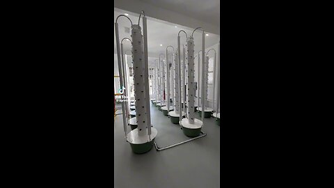 Aeroponic tower plants