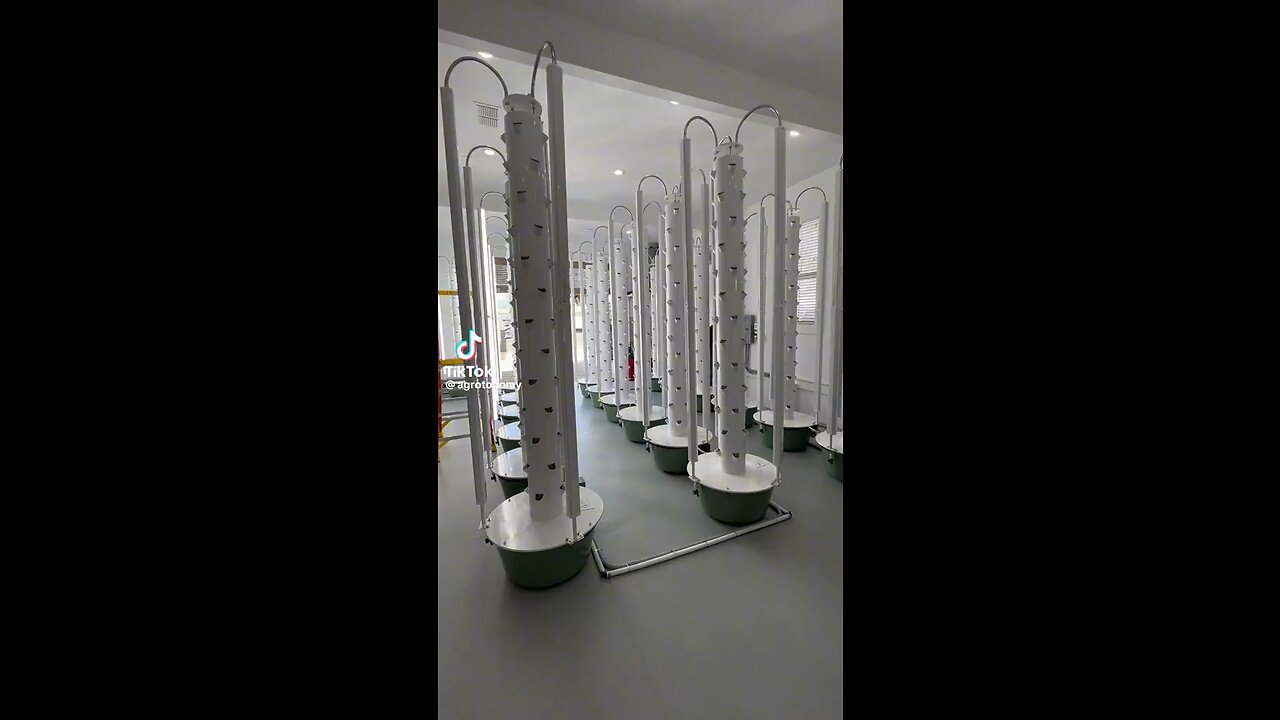 Aeroponic tower plants
