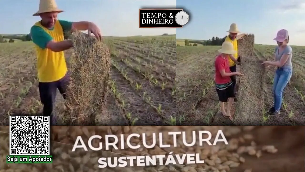 Agricultura sustentável é o que o Laércio Dalla Veccia pratica em Manguerinha (PR). MARAVILHA - RZ