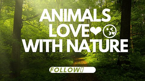 Animals love with nature