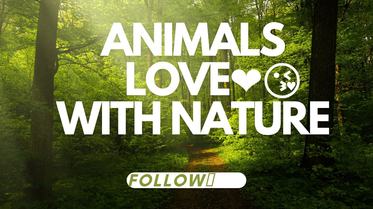 Animals love with nature