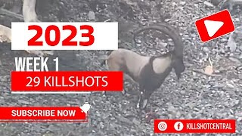 29 killshot hunting compilation