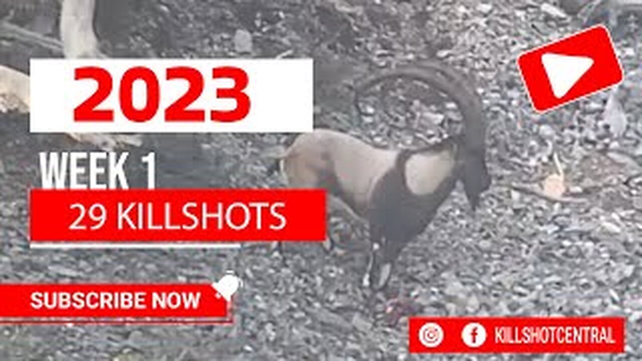 29 killshot hunting compilation