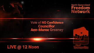 Cr Ann-Maree Greaney - Vote of No Confidence