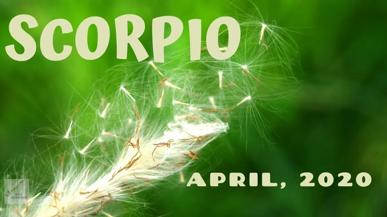 ♏ SCORPIO ♏: Will You See Your Opportunity? * April 2020