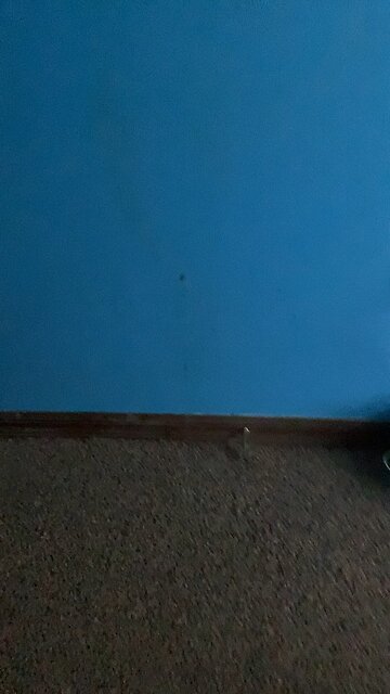 Pen trick shot fail for yet another time