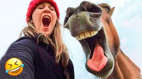 Funny Animals World