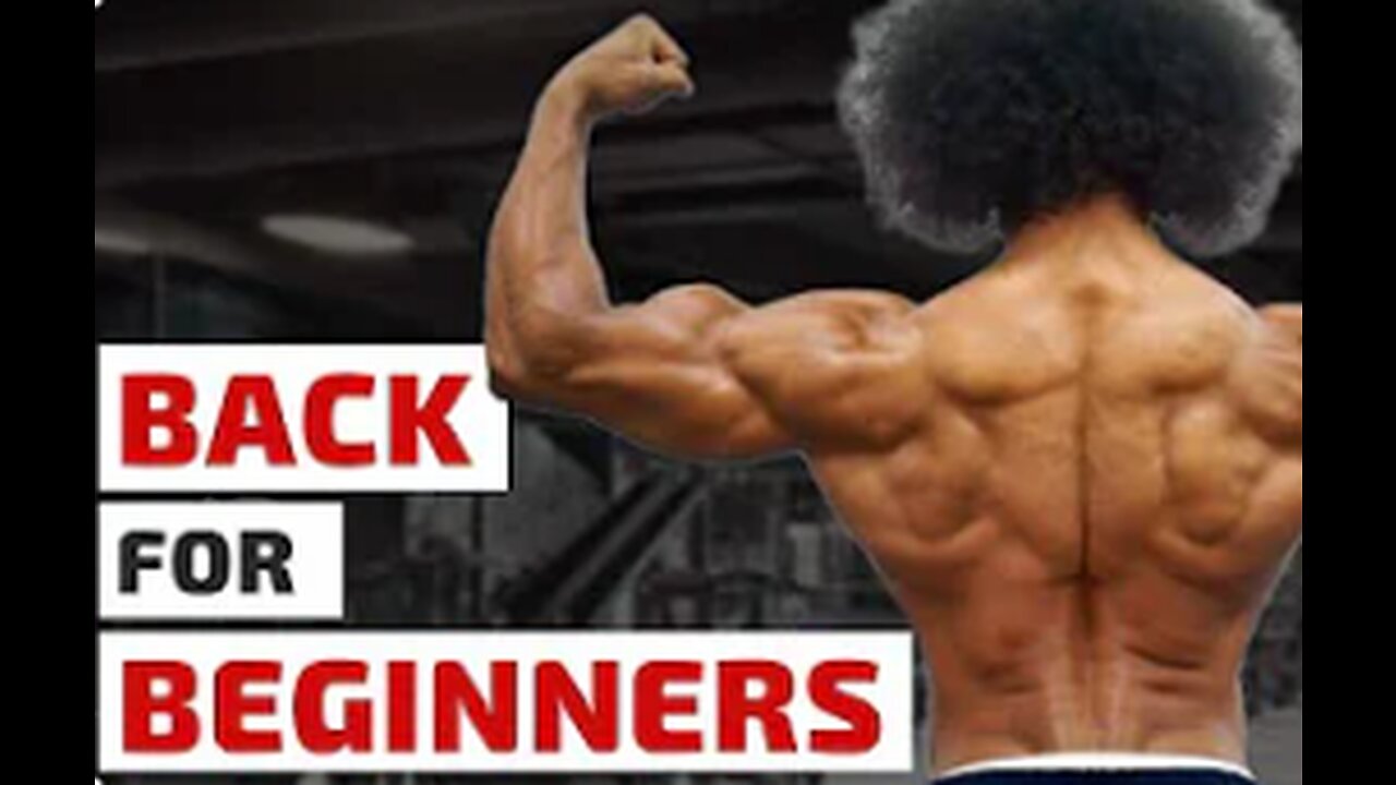 Back Workout for Beginners