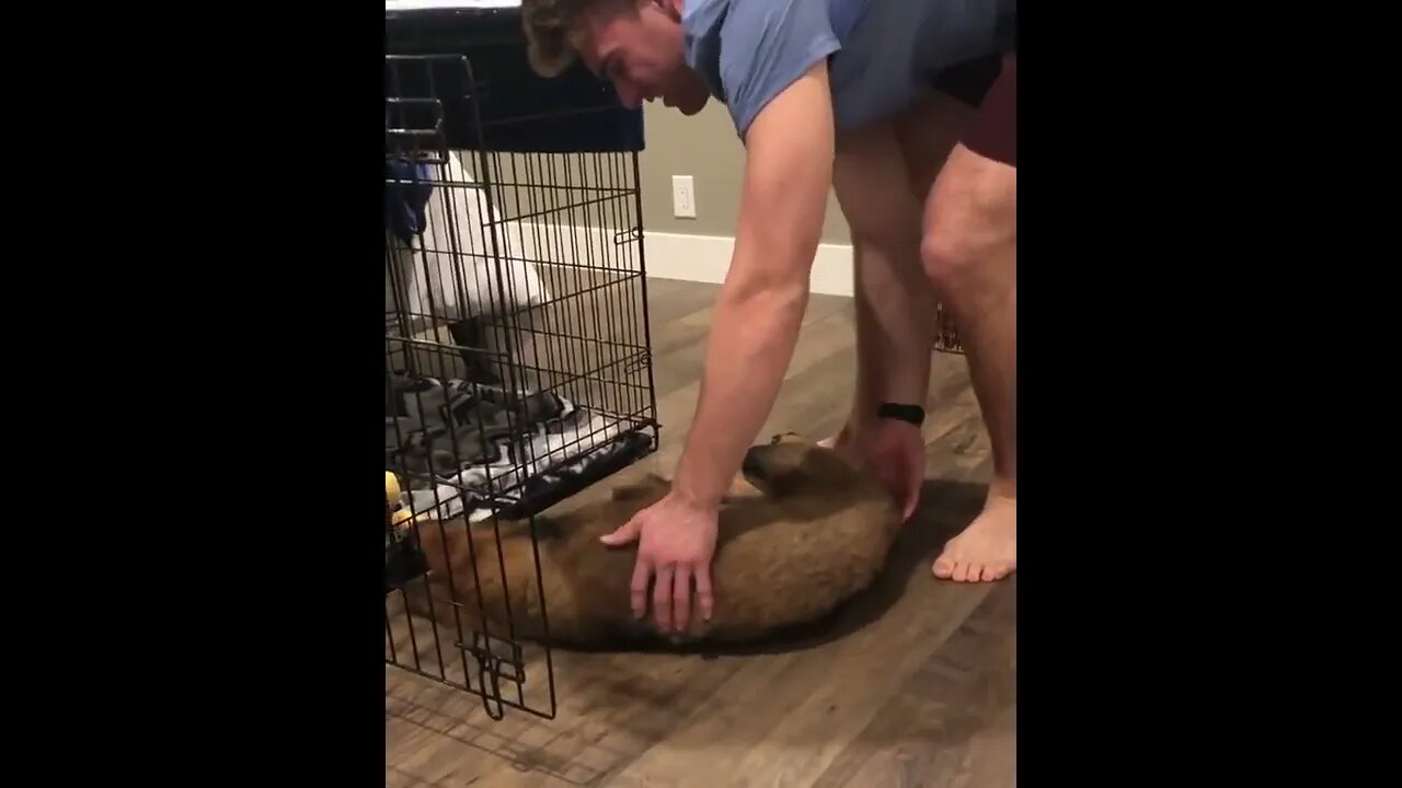 But do I have to go to bed?